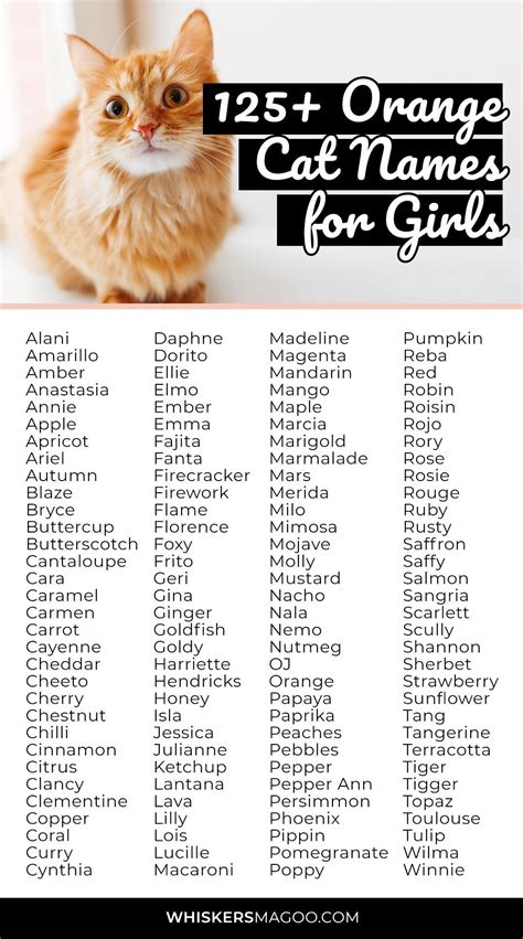 female orange tabby cat names.